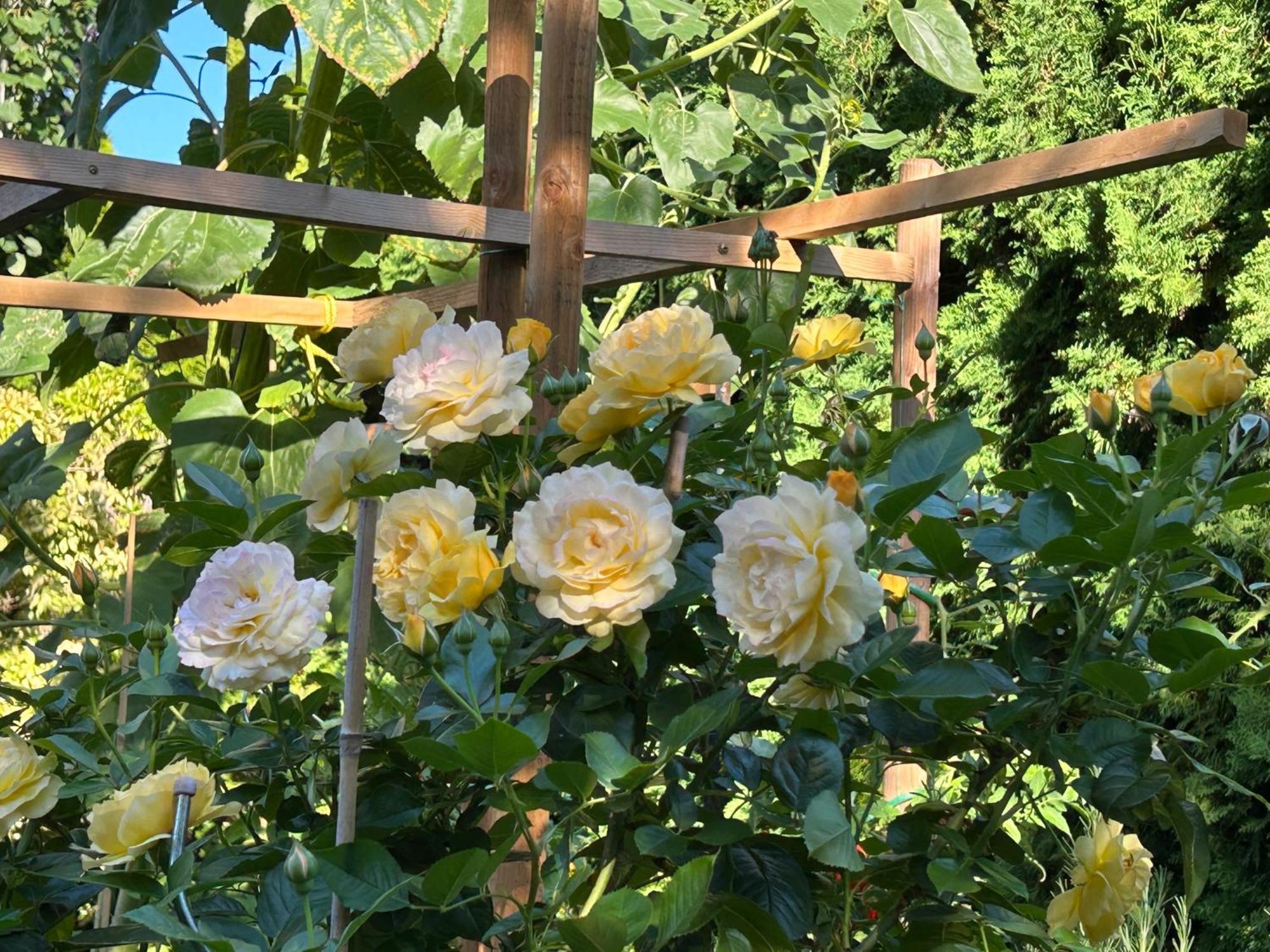 North Nanaimo Gem - Garden-View Room With Private Ensuite Zewnętrze zdjęcie